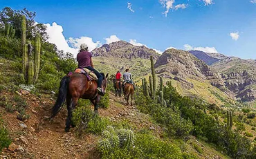Cabalgata por la precordillera con arrieros locales