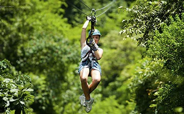 Canopy